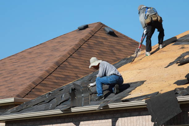 Best Metal Roofing Installation  in Labelle, FL